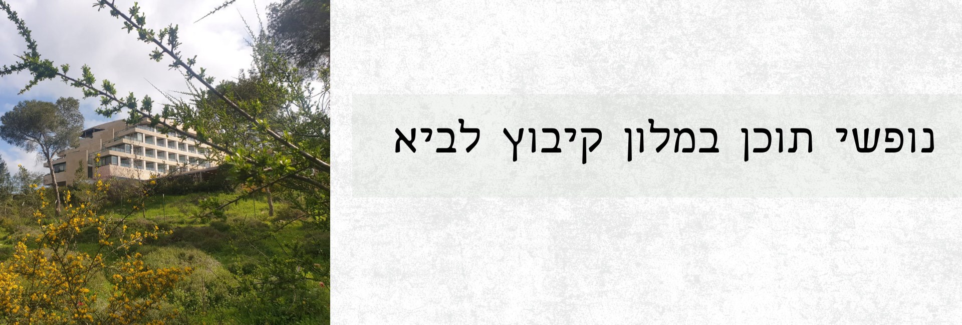 culture-banner-desktop