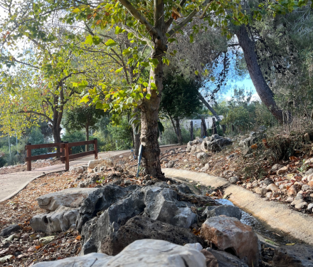 מבצע סוף הקיץ