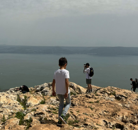 פעילויות בסביבה 