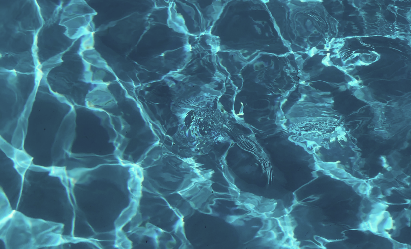 מתקני המלון ושירותים נוספים 